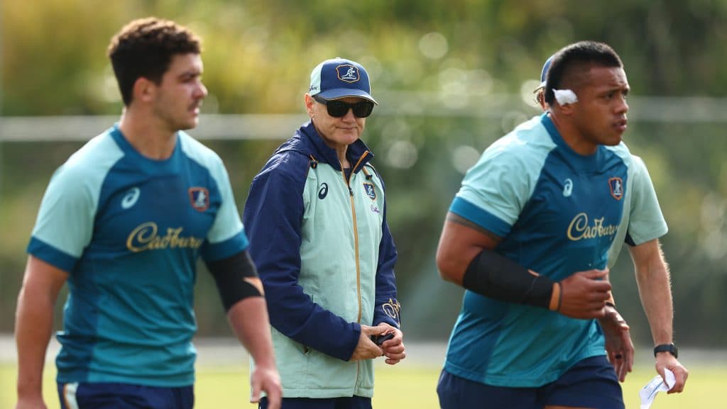 Joe Schmidt tendría un regreso temporal al rugby irlandés