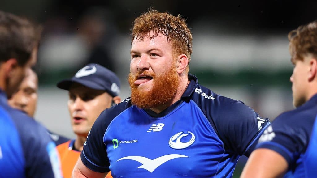 Harlequins suma al pilar australiano Harry Johnson-Holmes desde Western Force