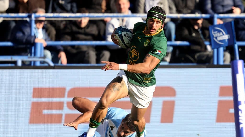 Springboks se impusieron ante Los Pumas con gran partido de Hanekom